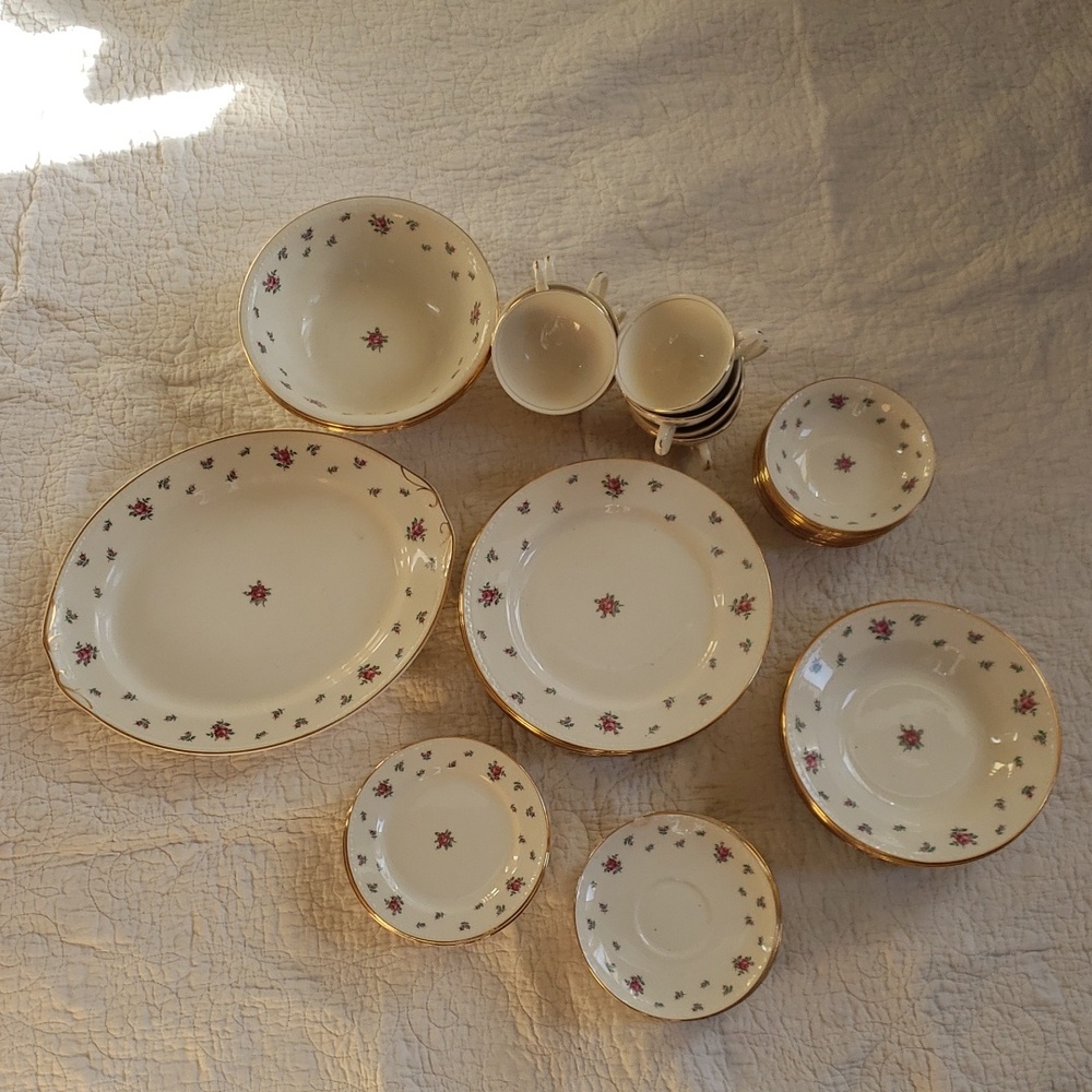 Vintage Homer Laughlin Rambler Rose Dinner Set